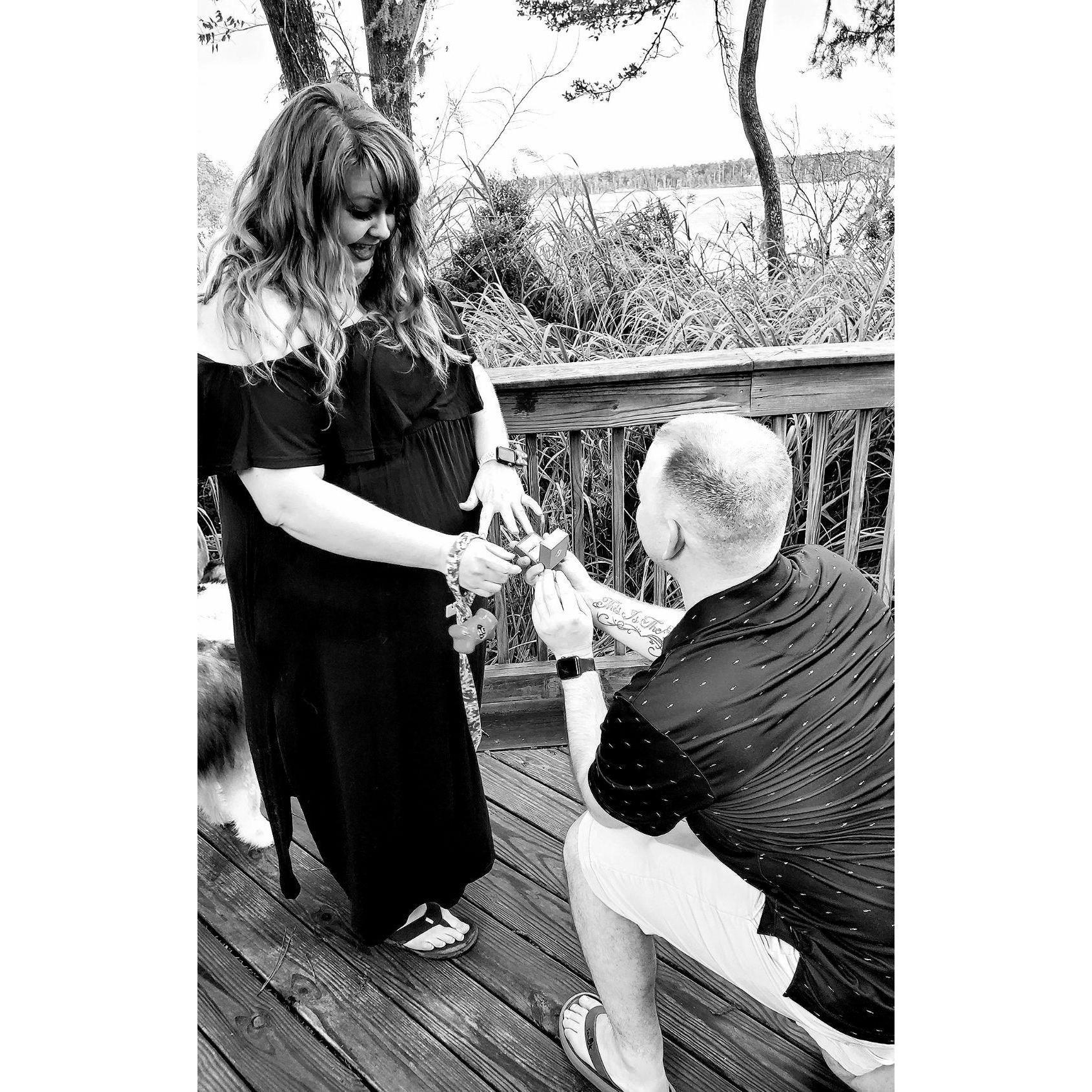 The proposal