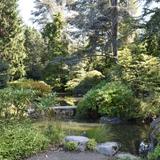 Kubota Garden