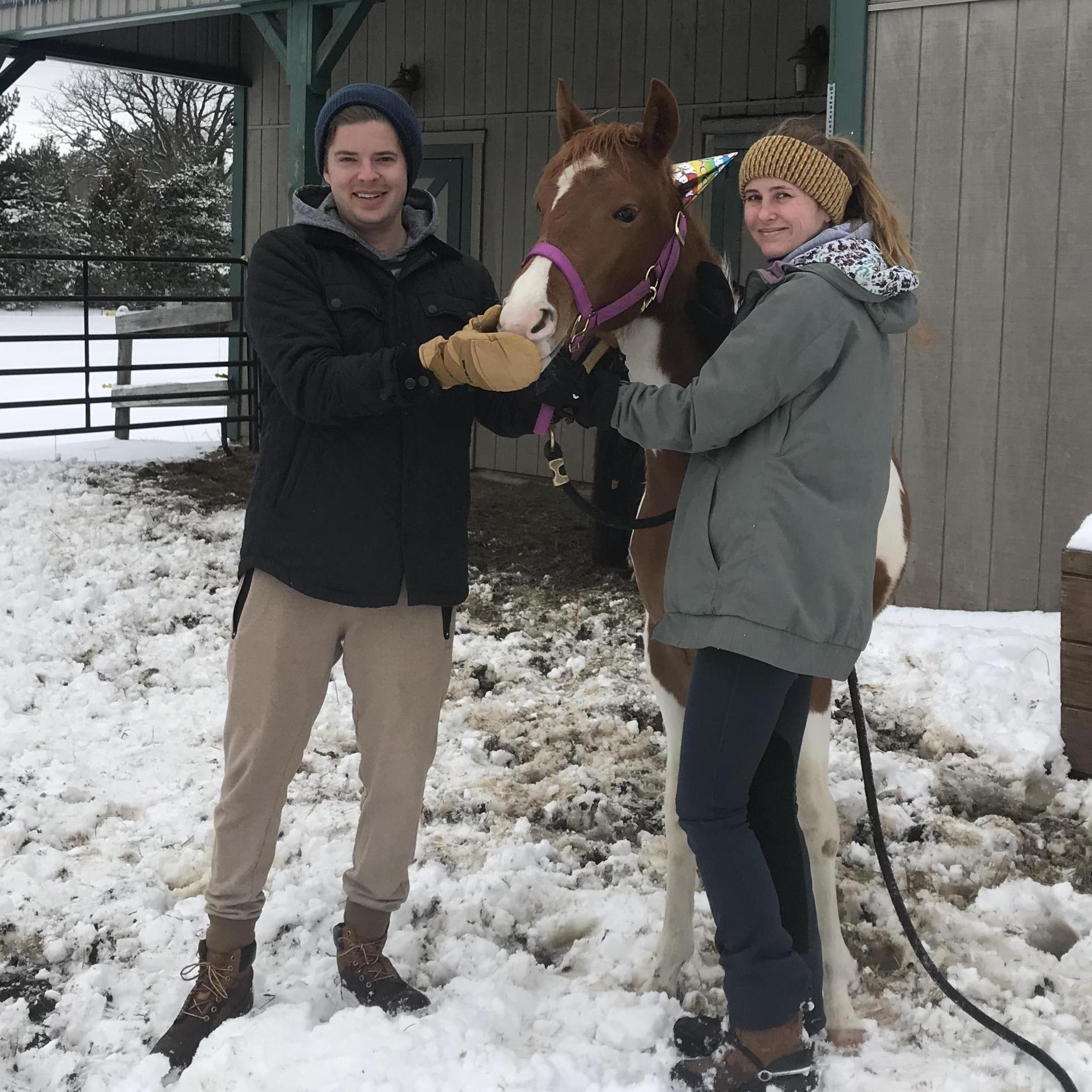 Playing with the Horses