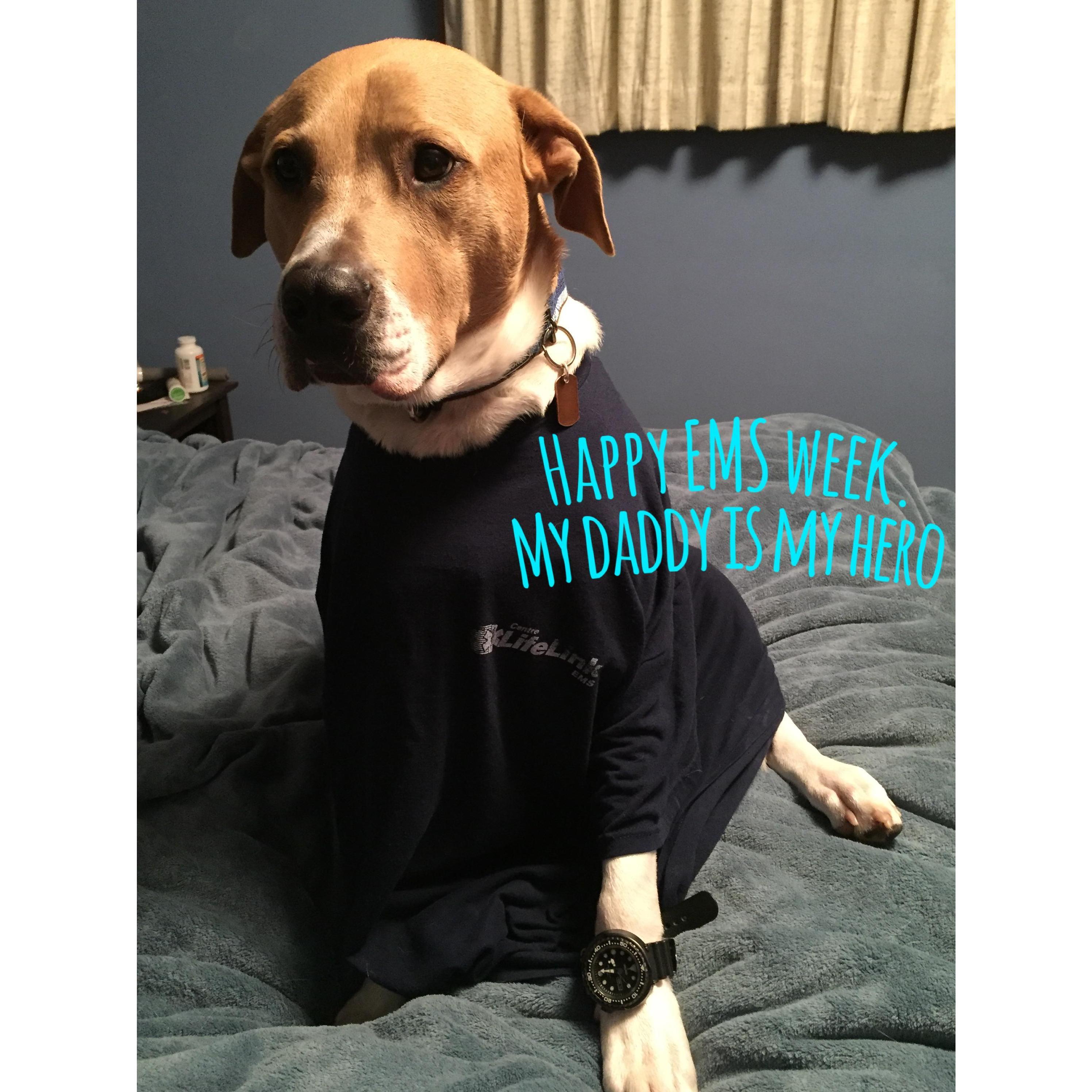 Take your dog to work day