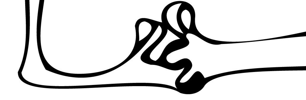 The Wedding Website of Will P and Alex G