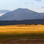 Wacharas Ranch
