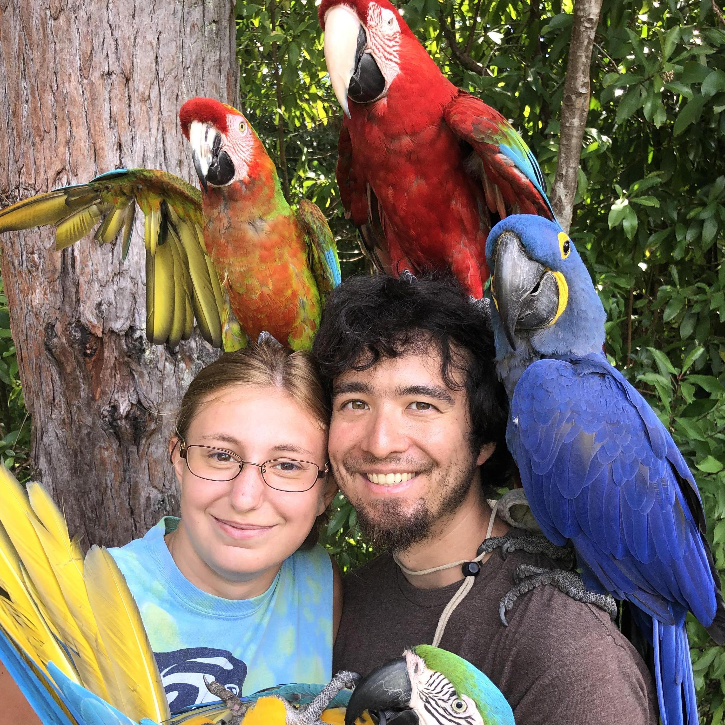 HAWAII

One of our stops along the Hana Highway was grabbing a picture with these beautiful rescue parrots!