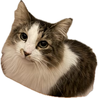 The Wedding Website of Lauren Thoryk and Kyle Fisher