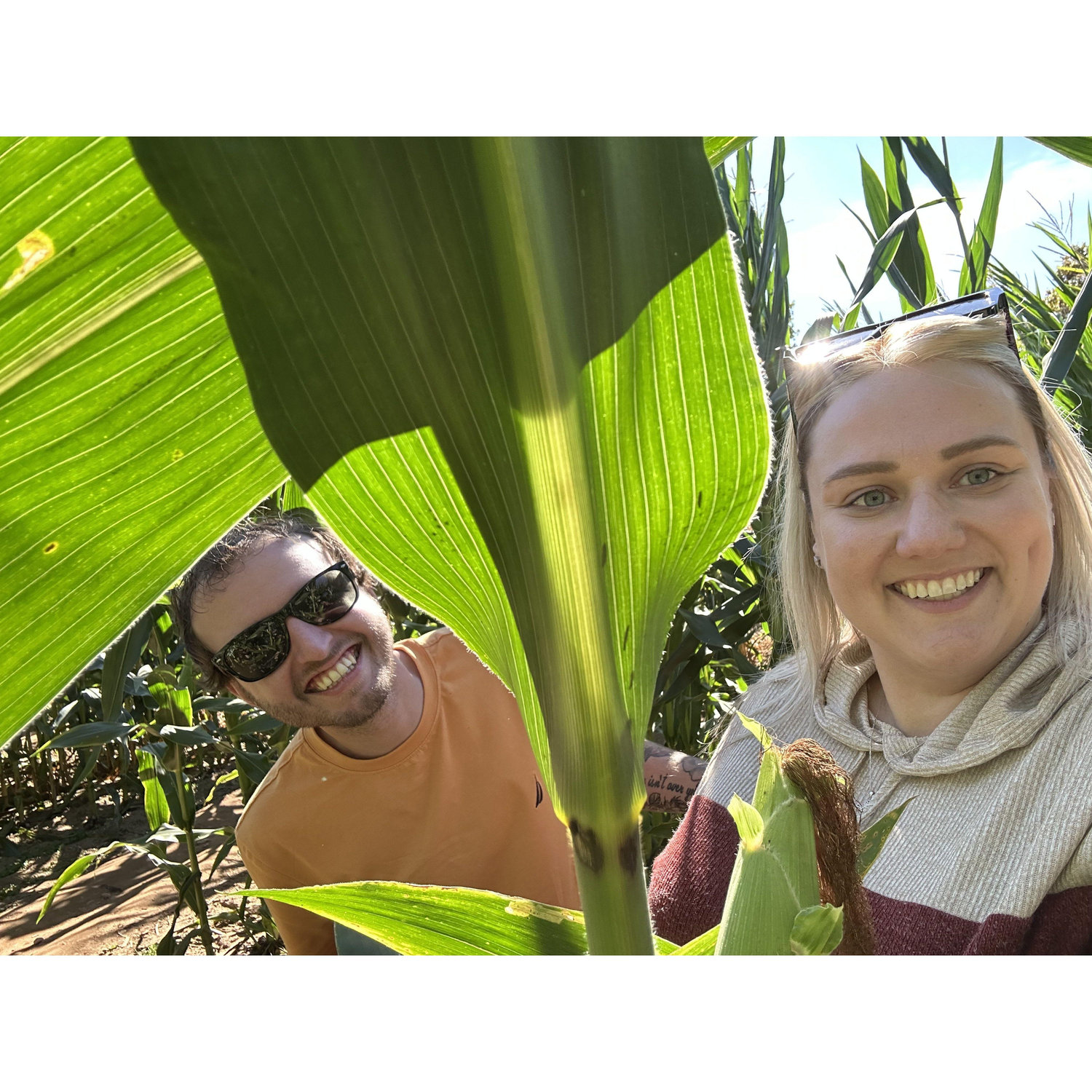 Corn Maze!