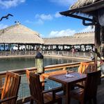 Islamorada Fish Company