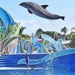 SeaWorld