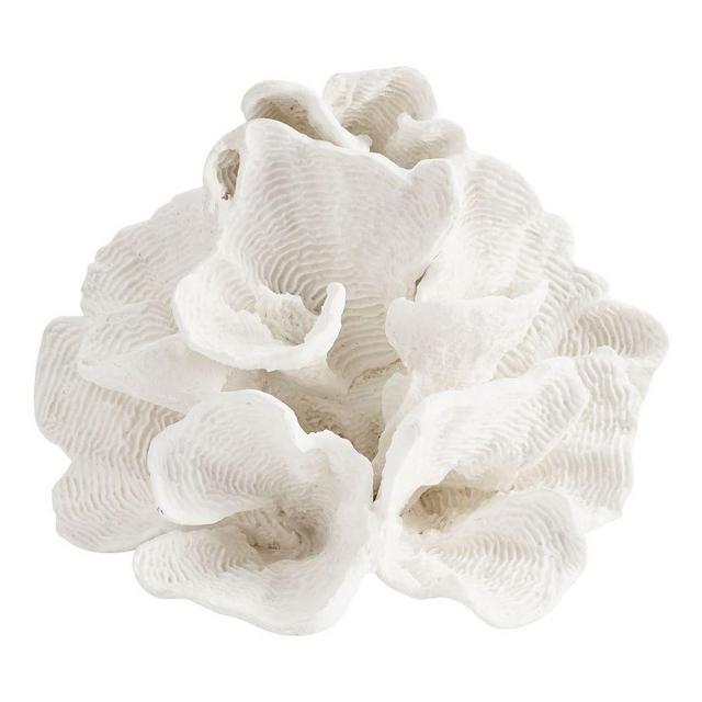 White Wave Coral