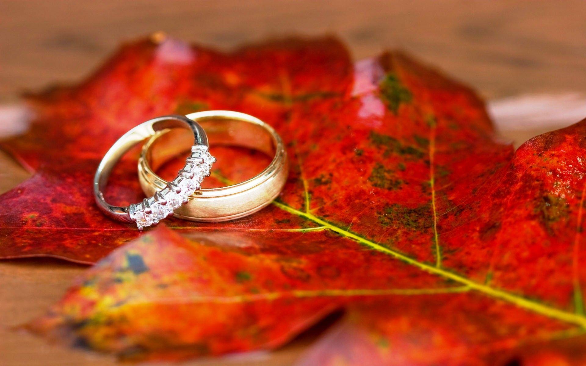 The Wedding Website of Emerald J. Green and Ian S. Christie