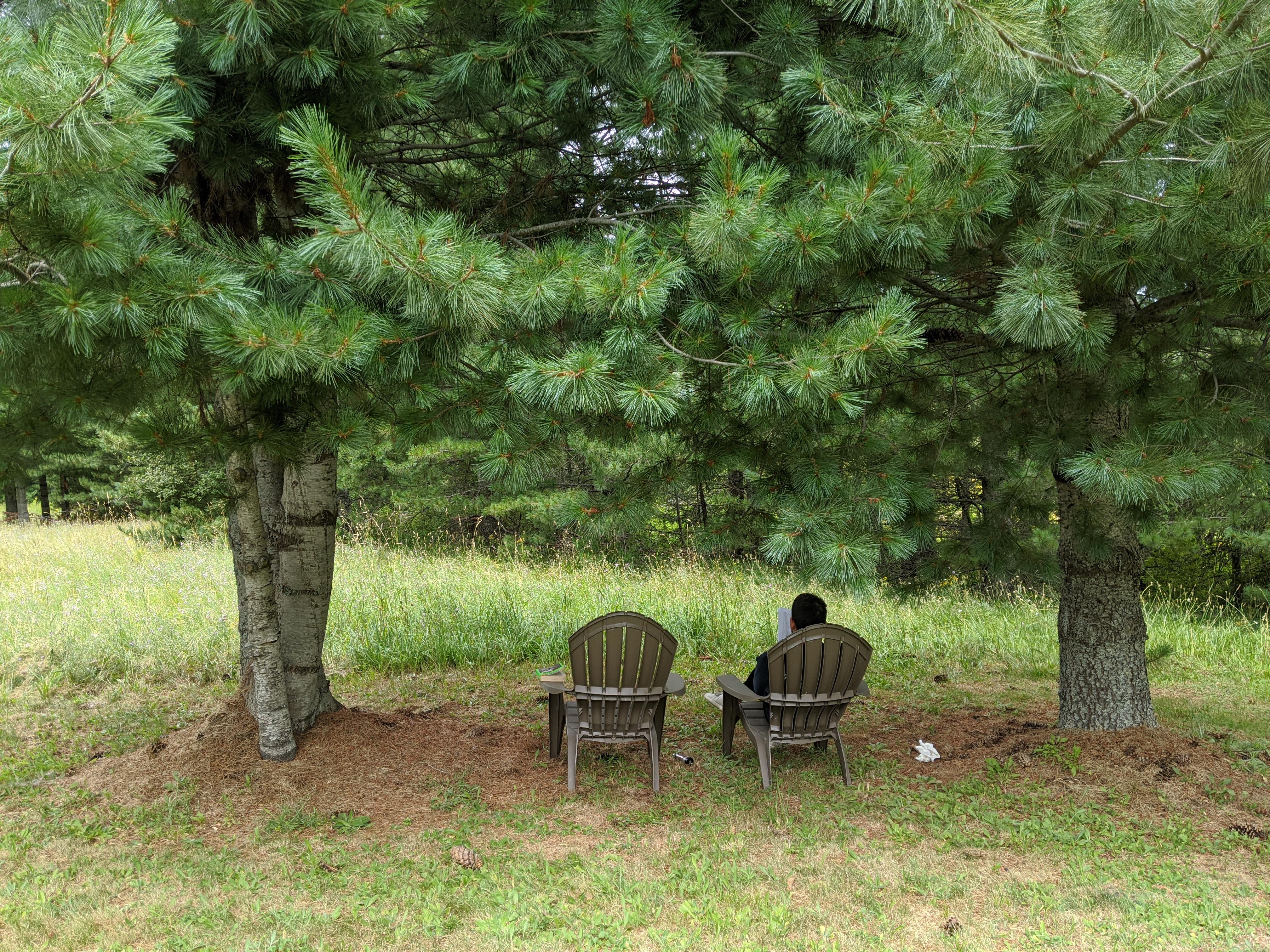 416daeac-b269-4592-832f-92d0f93f401d