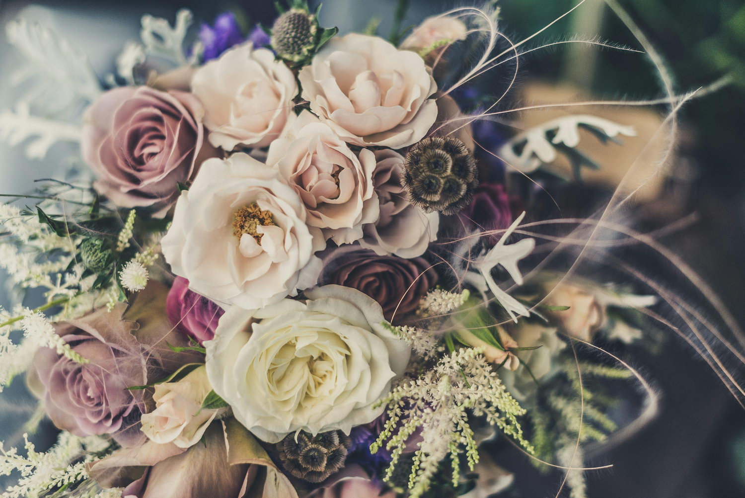The Wedding Website of Rosemary Pantaleo and Rob Layne