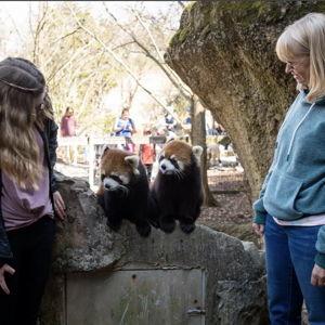 Zoo Date Experience