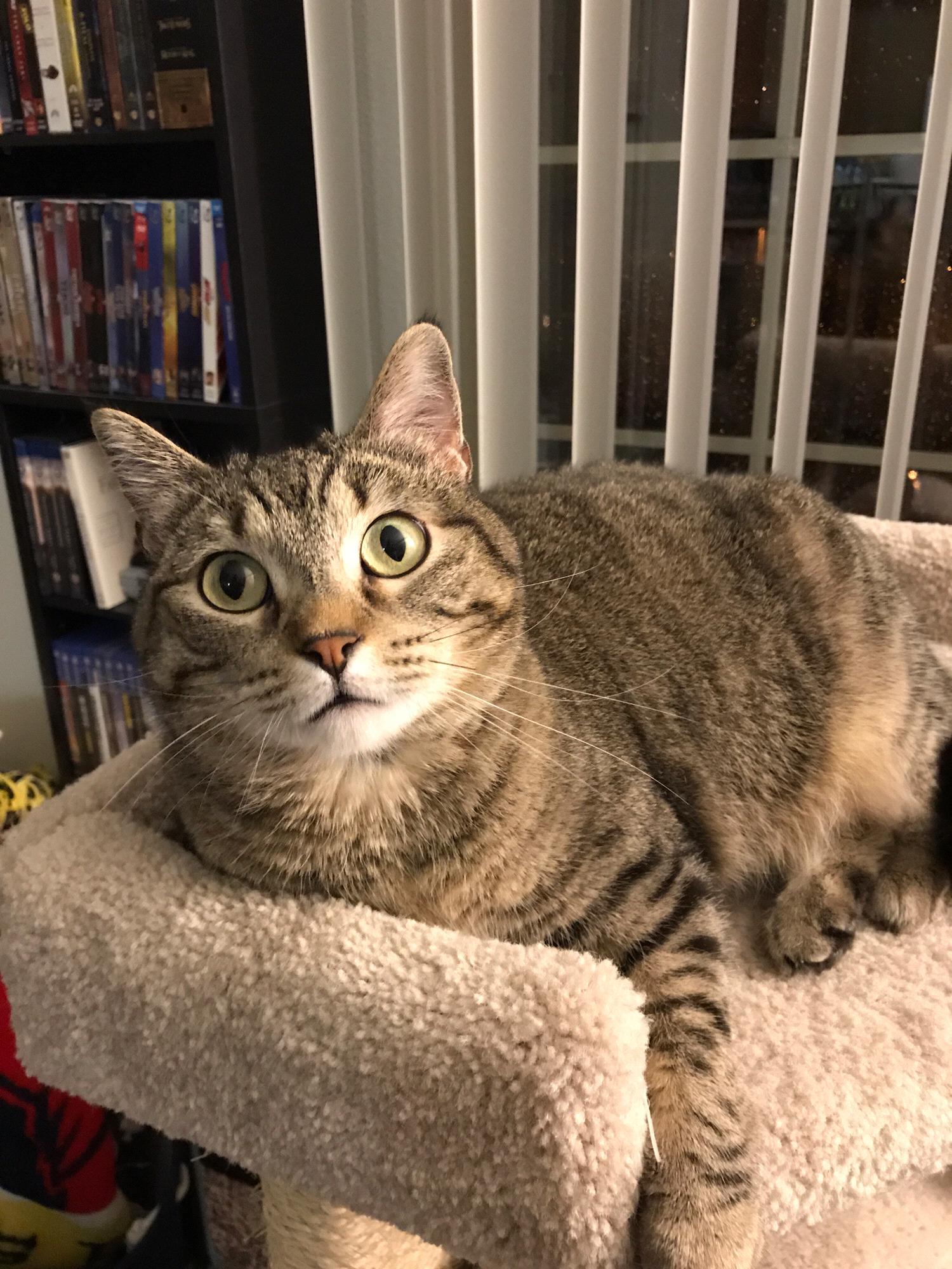 Ruth is curious.