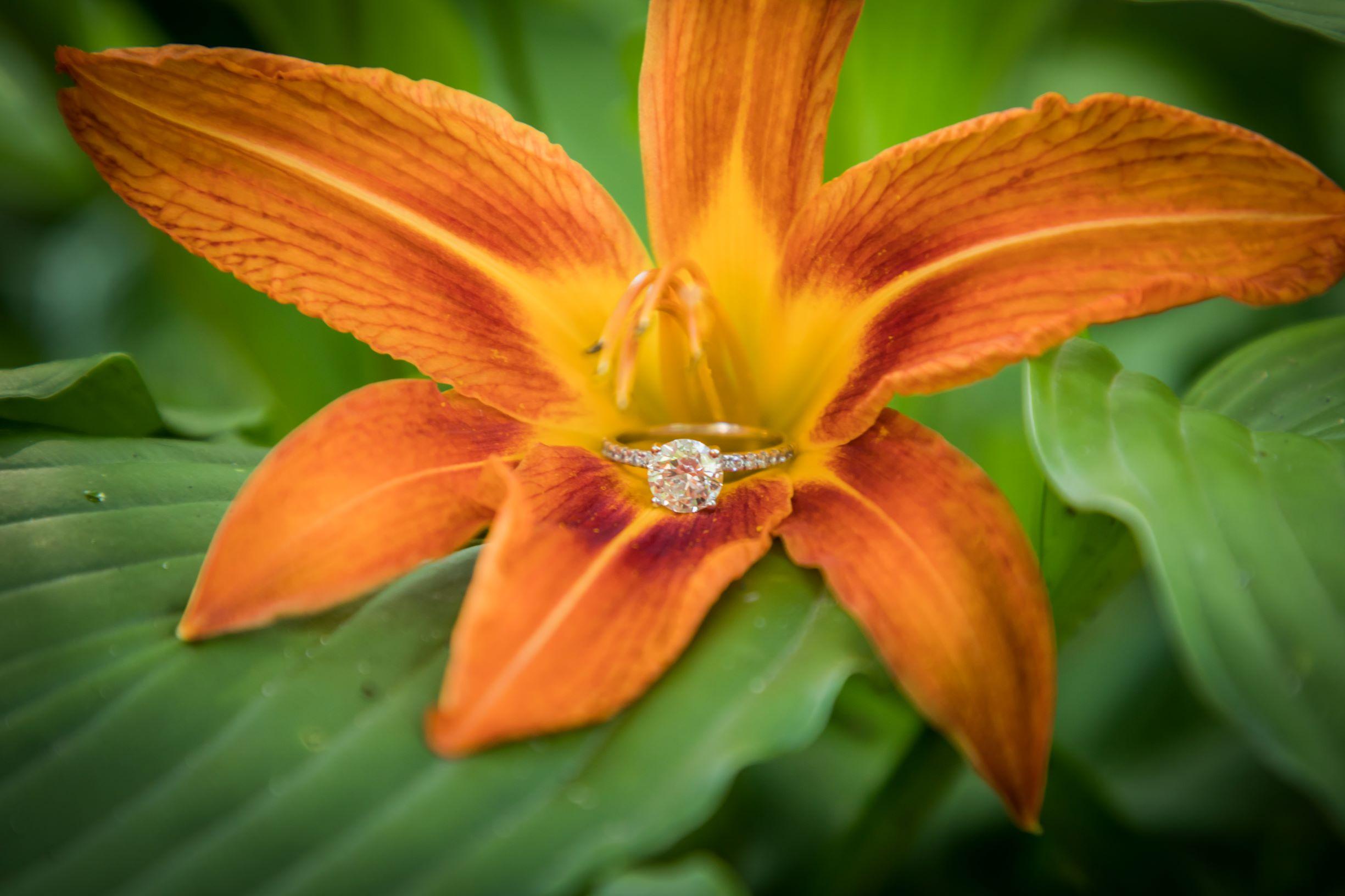 The Wedding Website of Abigale Plesh and Brian Raymond