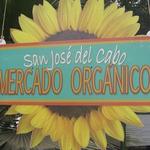 Organic Market San Jose del Cabo  - Saturday only