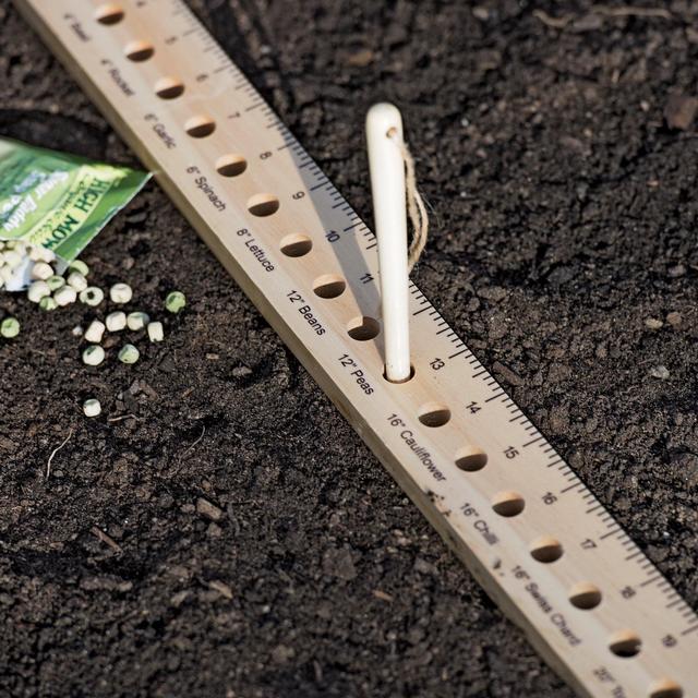 Intervale Seed and Plant Spacing Ruler