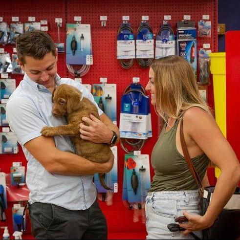 The day we adopted doggo #2 - Jasper