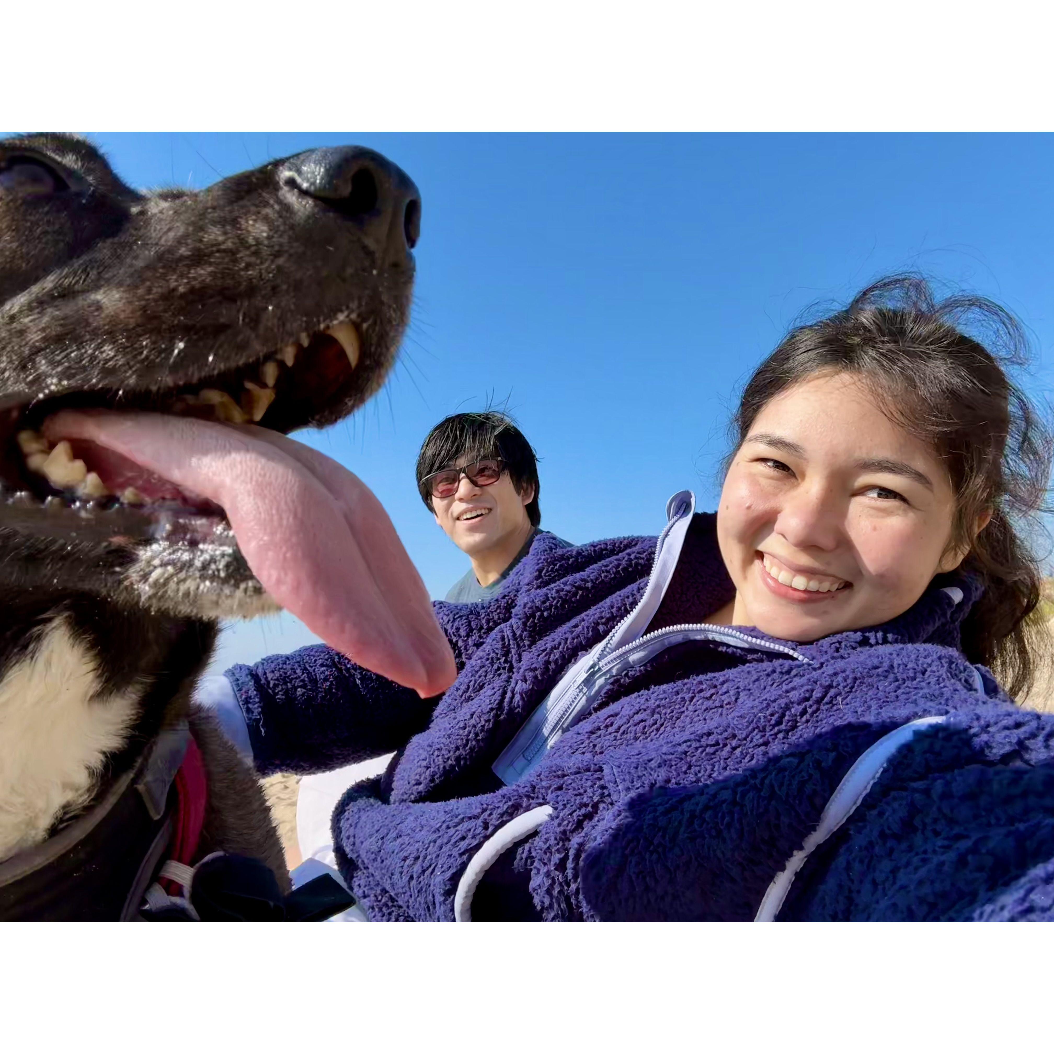 Leading up to the proposal, Aaron orchestrated the perfect day, including a trip to the dog beach, ice cream, a swan boat ride, and stargazing!