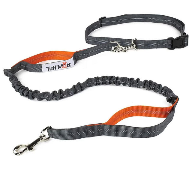 TUFF MUTT Hands-Free Bungee Leash, Gray & Orange - Chewy.com