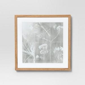 Framed Botanical Wall Print 16 X 16 - Project 62™