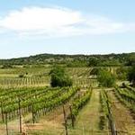 Spicewood Vineyards