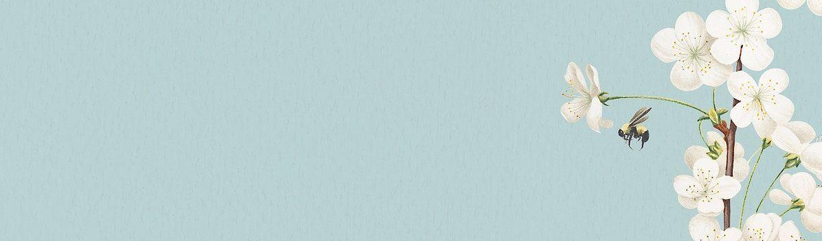 417a4e76-b51c-4c0a-8afc-aad545b68cdb