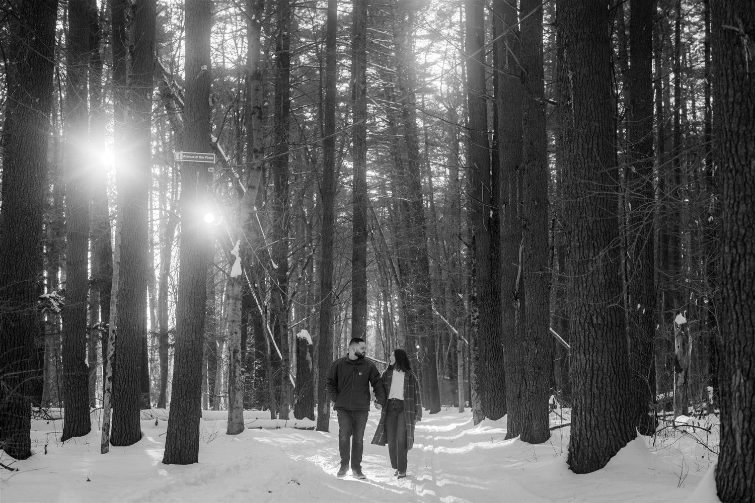 The Wedding Website of Colleen Senglaub and Dominic Szrajda