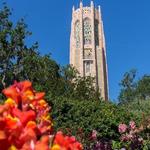 Bok Tower Gardens