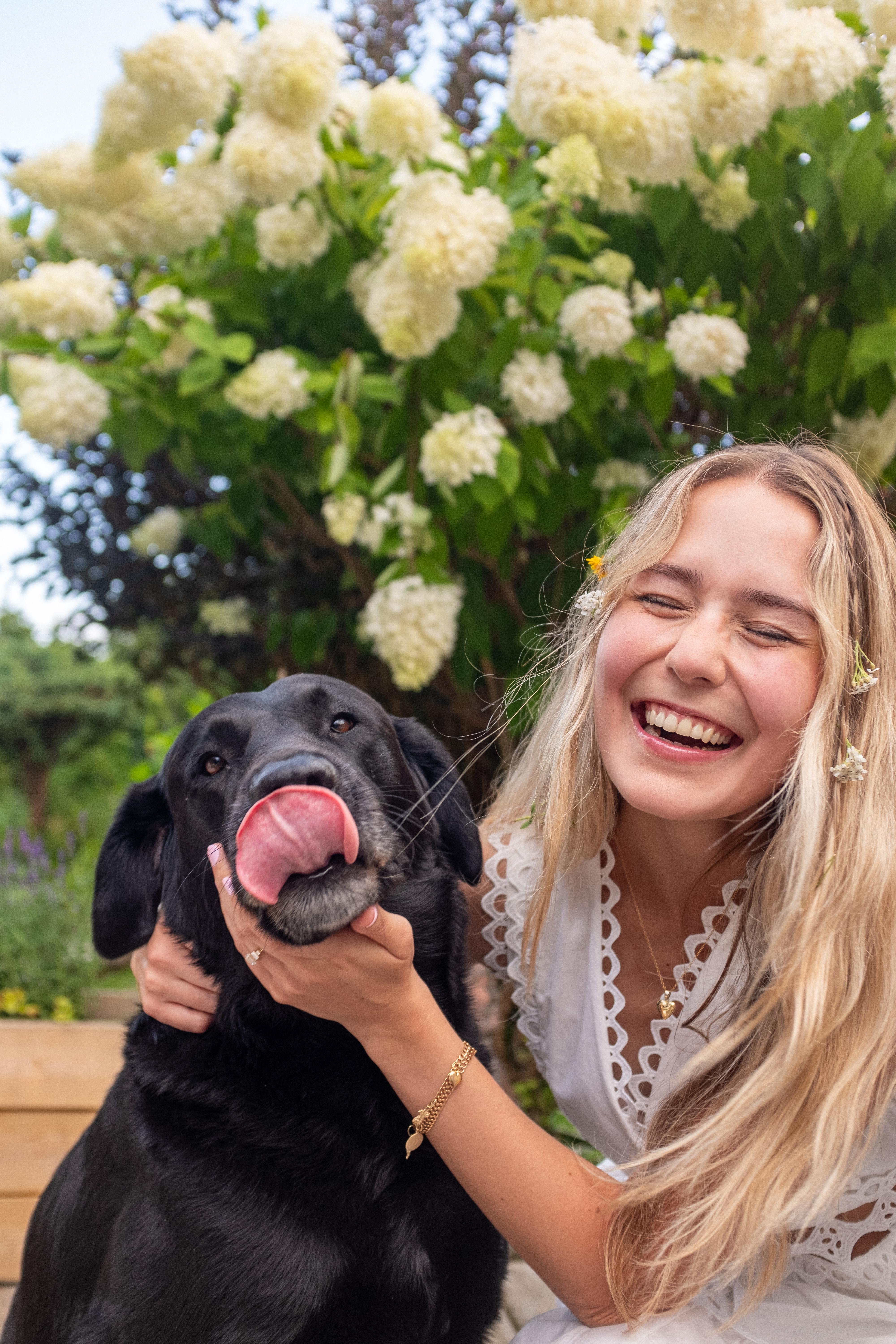 417ba33d-c3f0-49dd-a179-14f0105fc18b