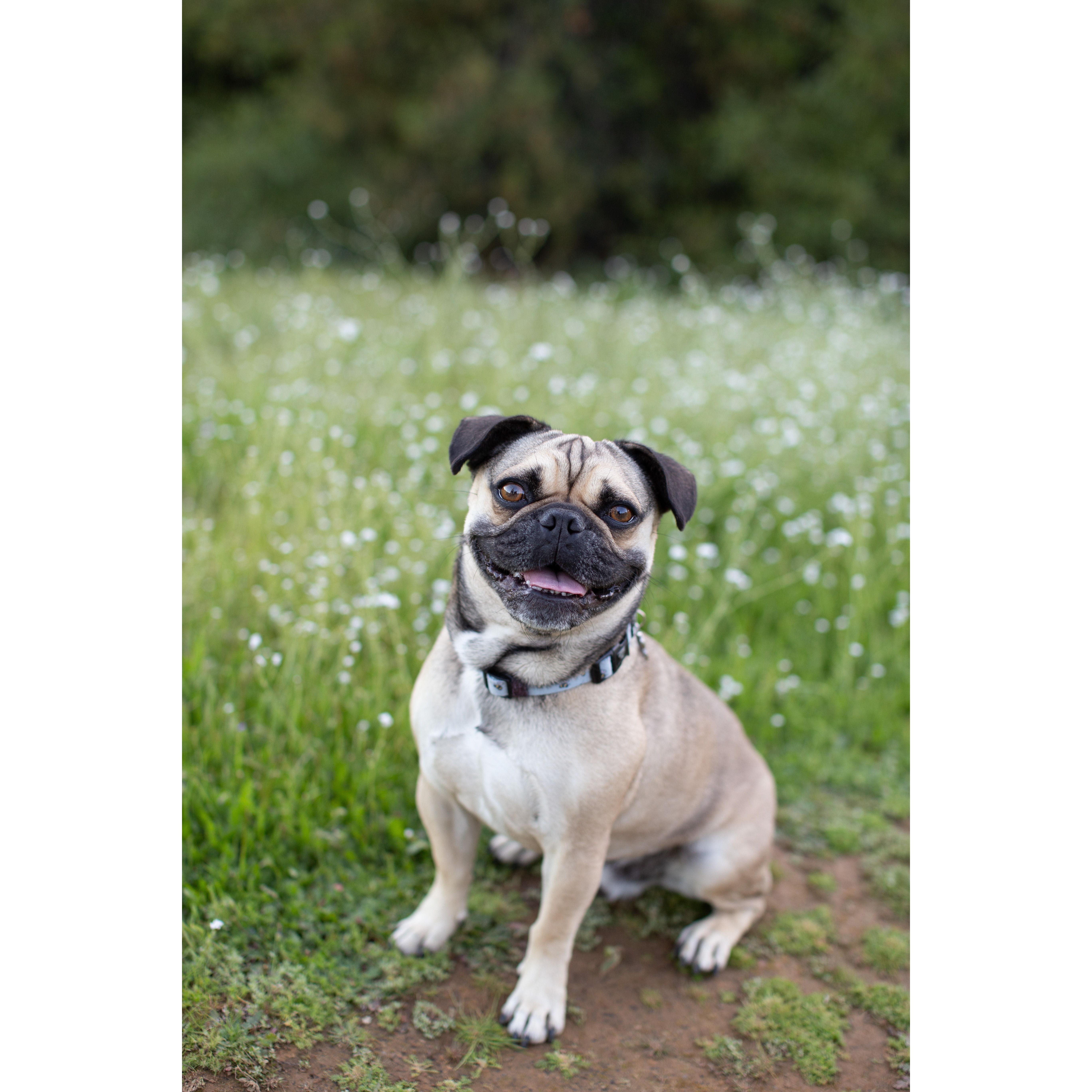 Happy Buzz!