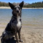 Mammoth Lakes