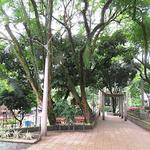 Parque Lleras El Poblado