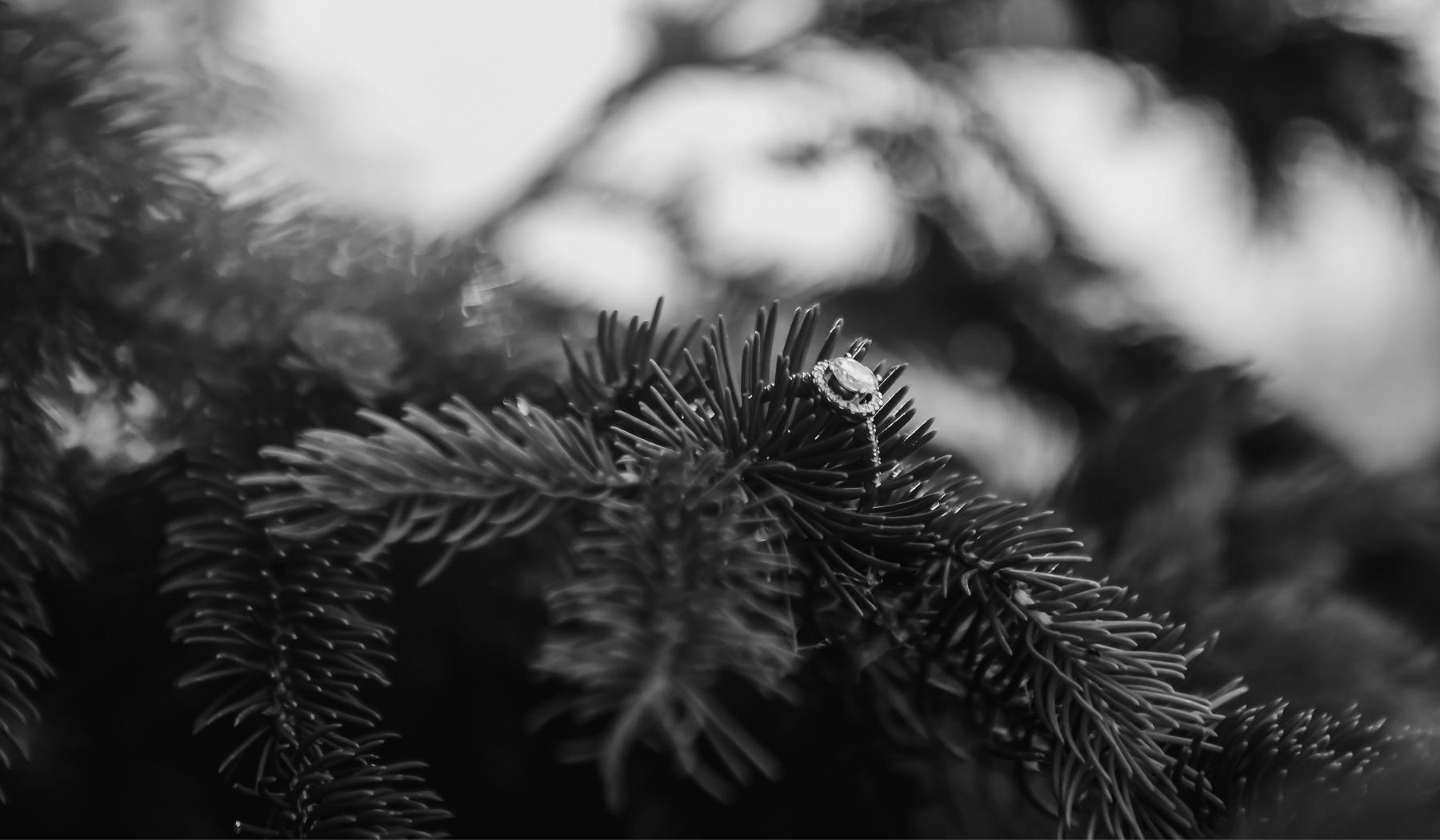 Footer image