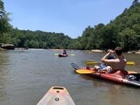 The Sandbar Kayaking and Zip Line Canopy Tours