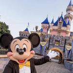 Disneyland Park