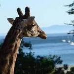Santa Barbara Zoo