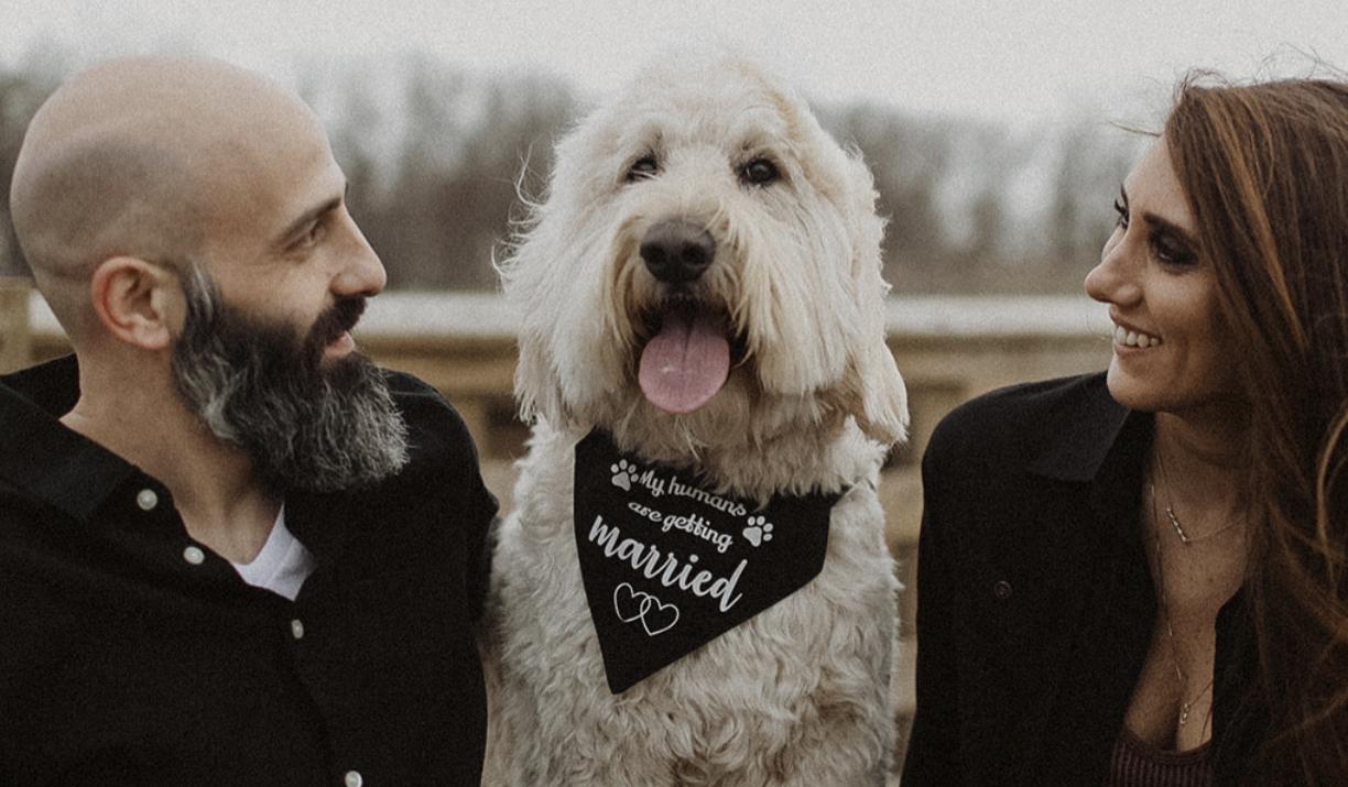 The Wedding Website of Kristen Bova and Daniel DeJohn