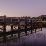 Lake Cuyamaca Recreation & Park