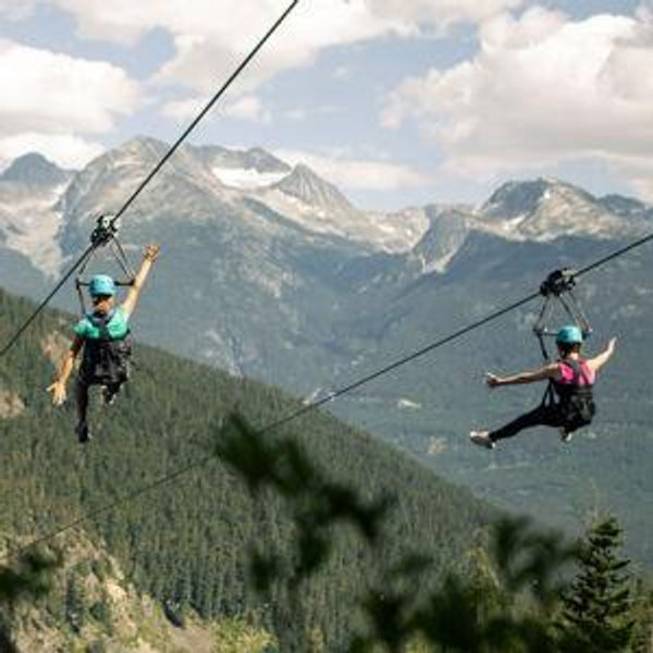 Zipline - Honeymoon
