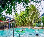 Indian Hot Springs