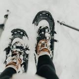 Snowshoe