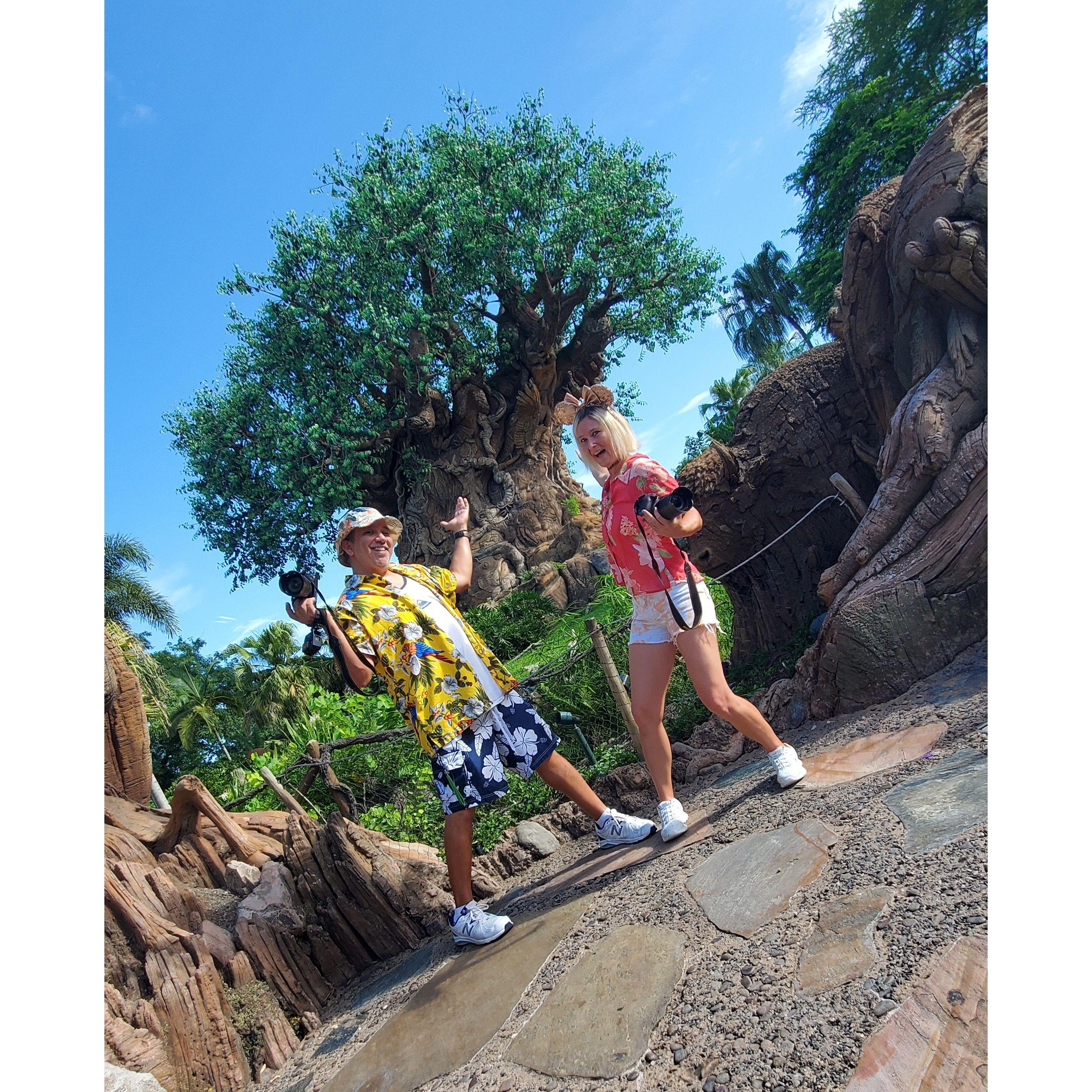 Our first visit to Disney's Animal Kingdom!