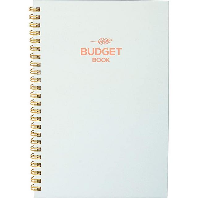Monthly & Weekly Budget Planner Organizer – Financial Budgeting Book & Expense Tracker – Control Your Finances - Undated Start Anytime, 12 Months