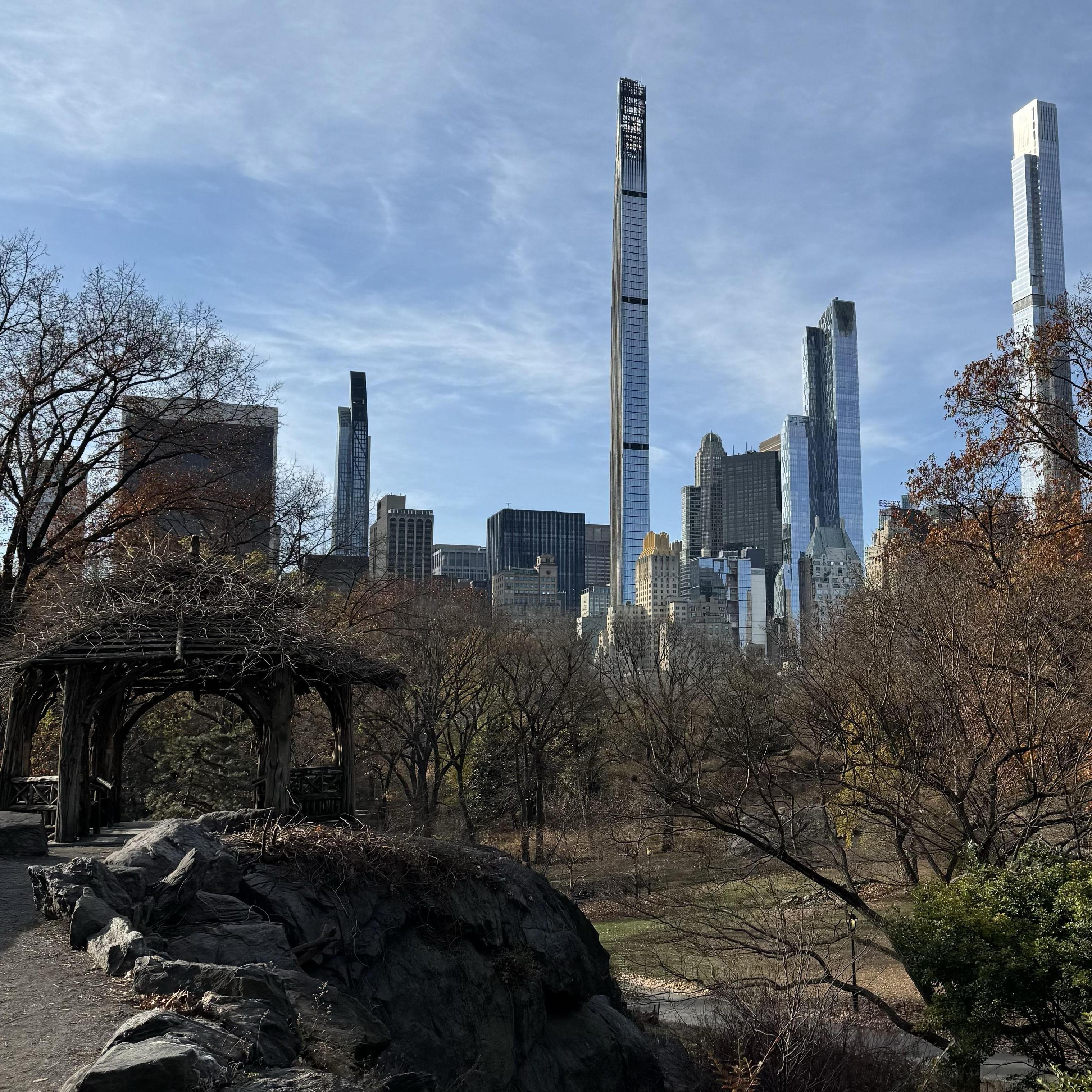 Central Park, December 2024- where we got engaged!