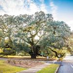 Thomasville's Historic Downtown