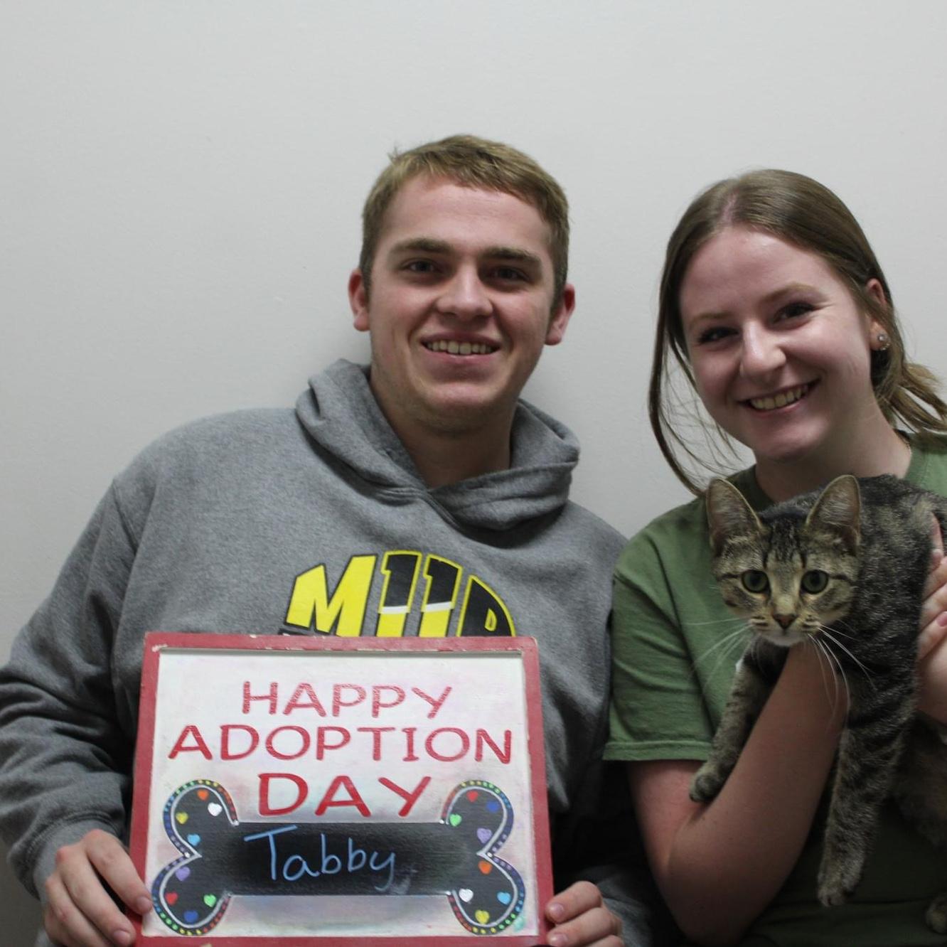 Tabby Doo’s adoption day! June 2023