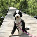 Theodore Roosevelt Island