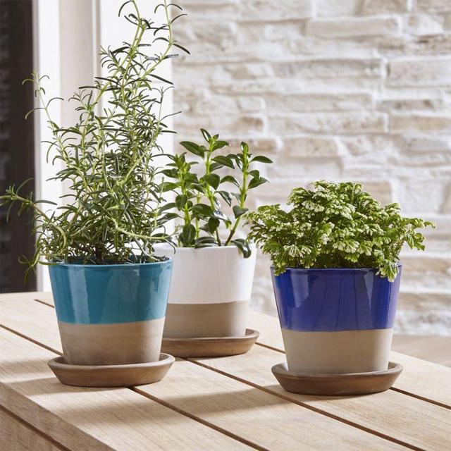 Carnivale Mini Planters-White