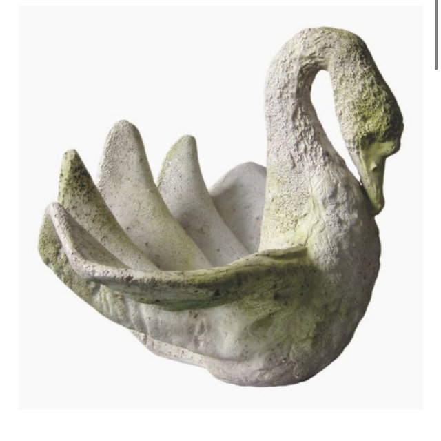 17" Swans Shell, White Moss - outdoor planter
