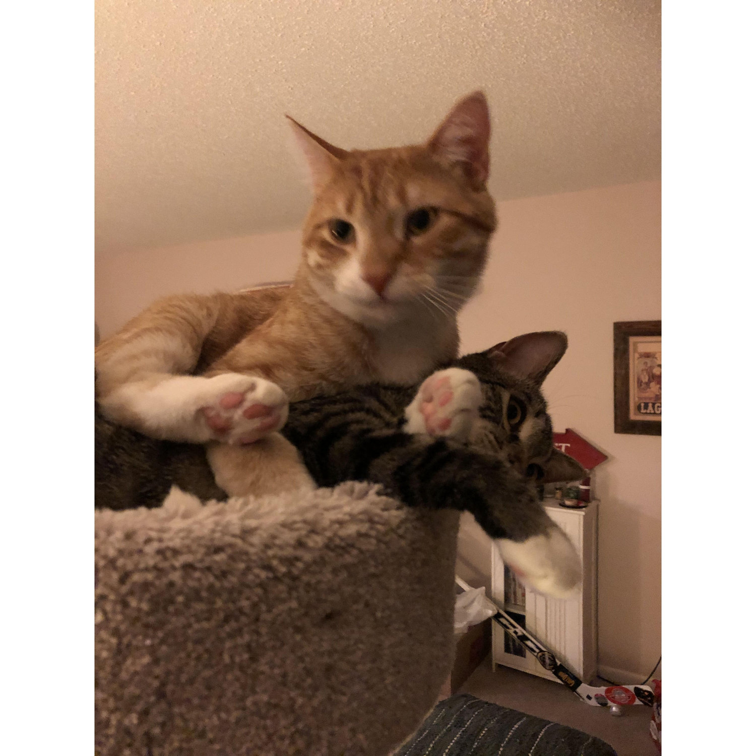 Typical siblings!